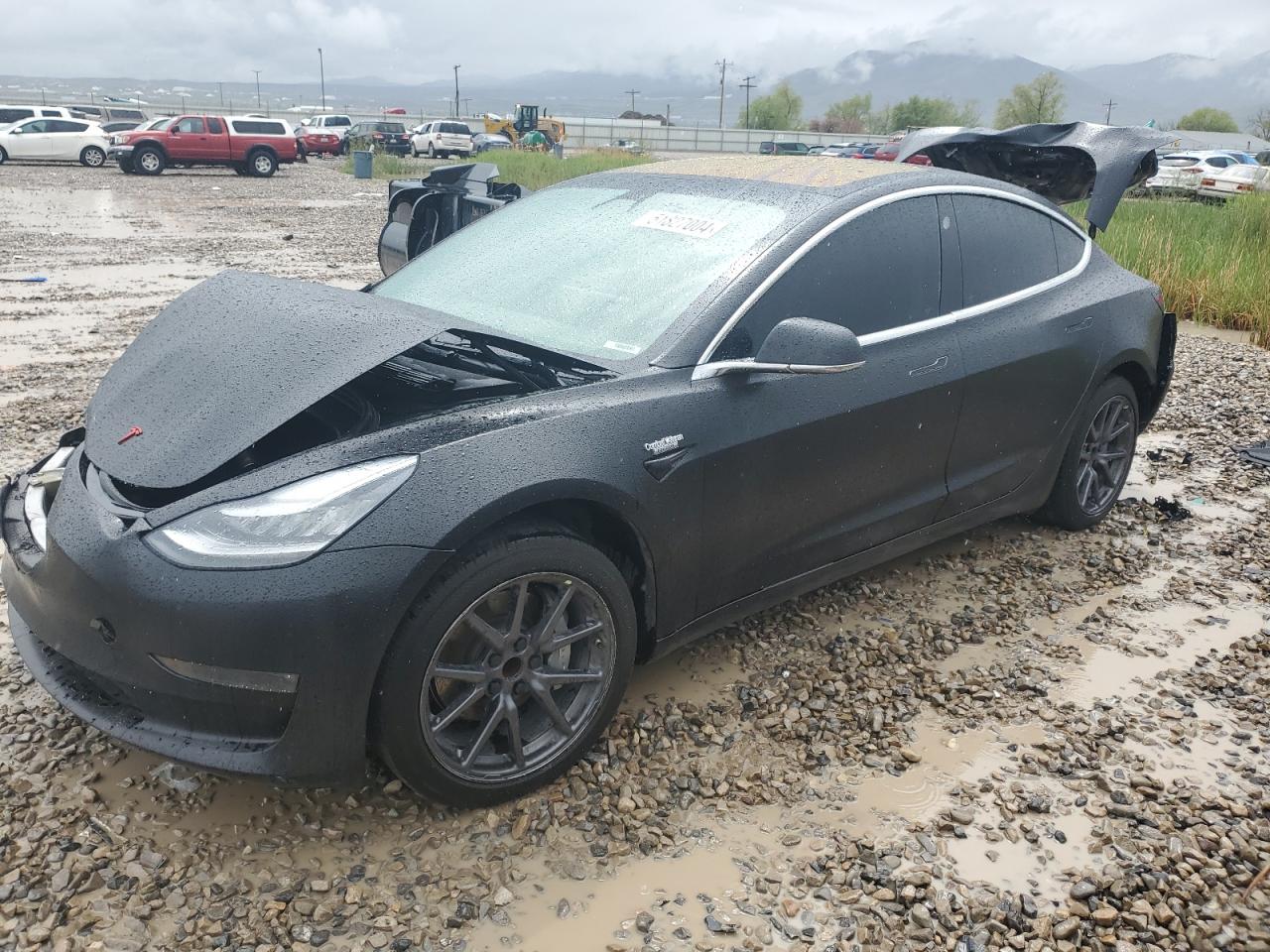 2019 TESLA MODEL 3