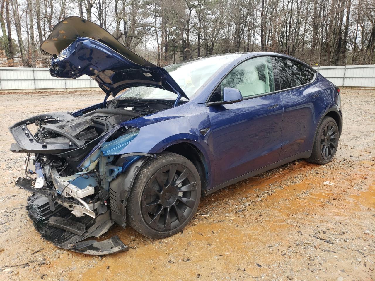 2023 TESLA MODEL Y