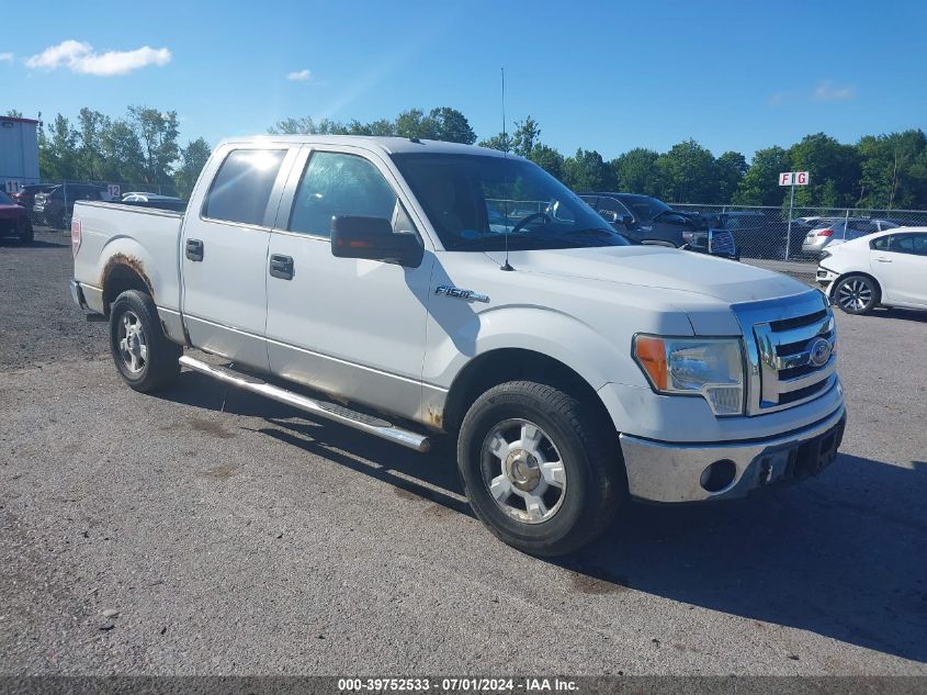 2010 FORD F-150 XLT