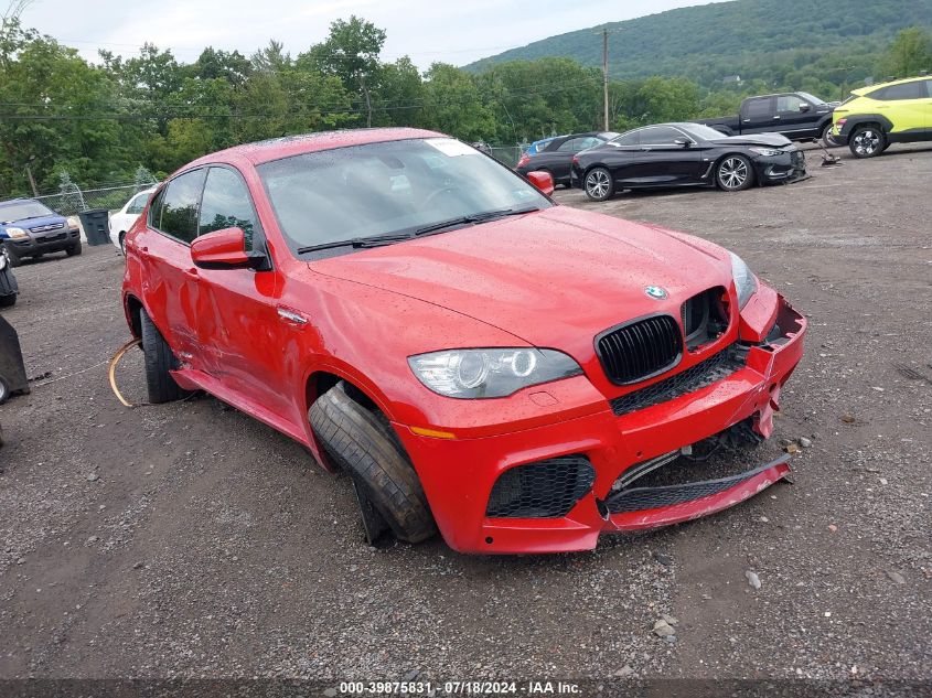 2010 BMW X6 M