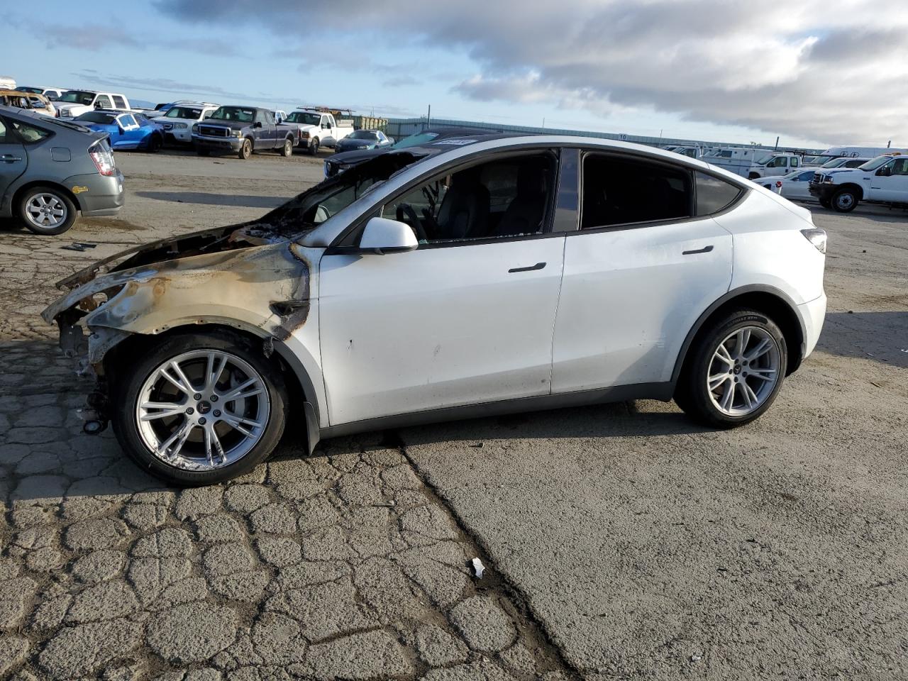 2020 TESLA MODEL Y