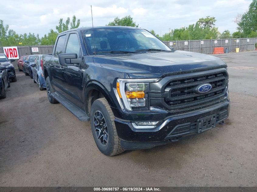 2023 FORD F-150 XLT