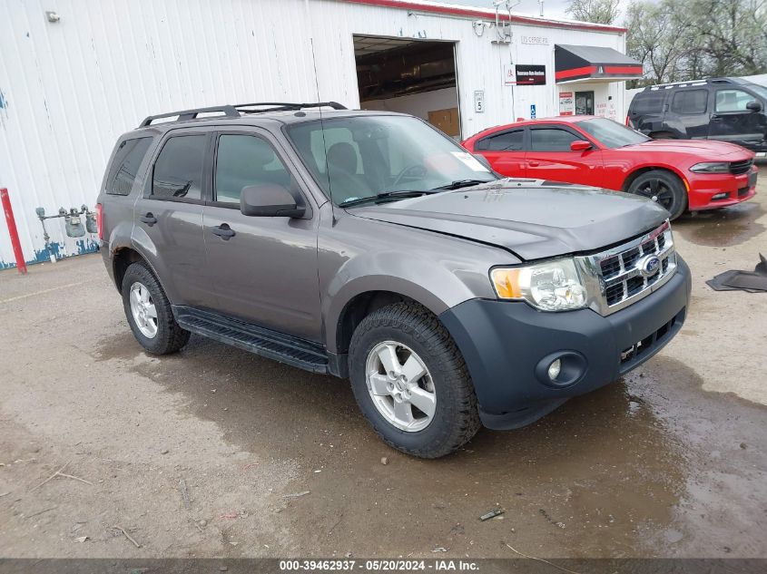 2010 FORD ESCAPE XLT