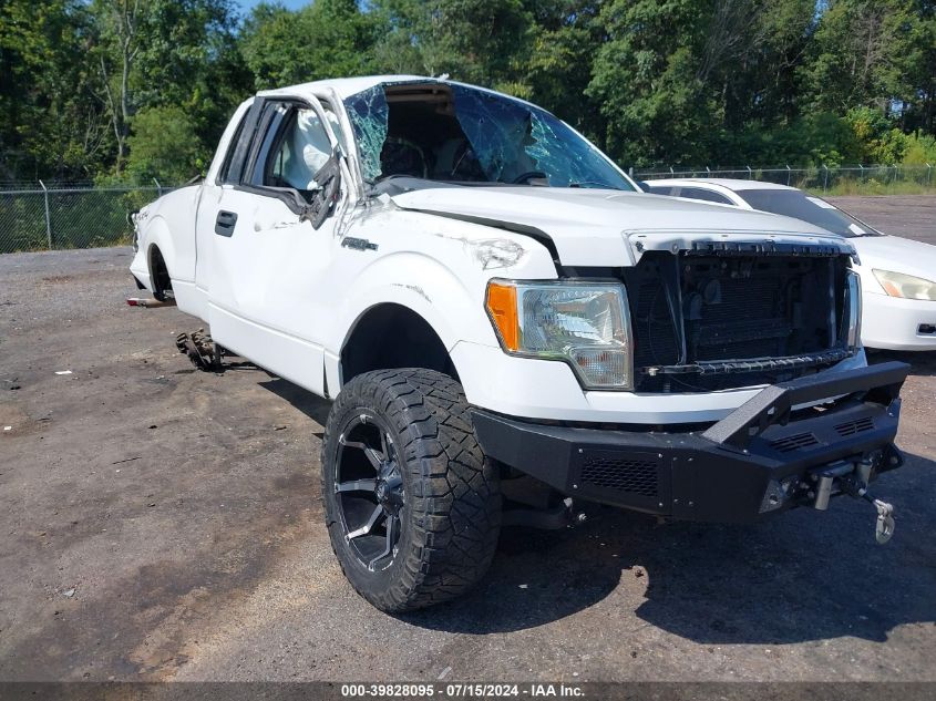 2011 FORD F-150 XLT