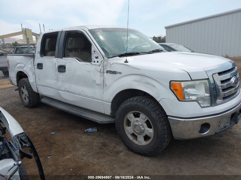 2010 FORD F-150 FX2 SPORT/HARLEY-DAVIDSON/KING RANCH/LARIAT/PLATINUM/XL/XLT