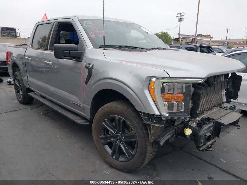 2022 FORD F-150 XLT