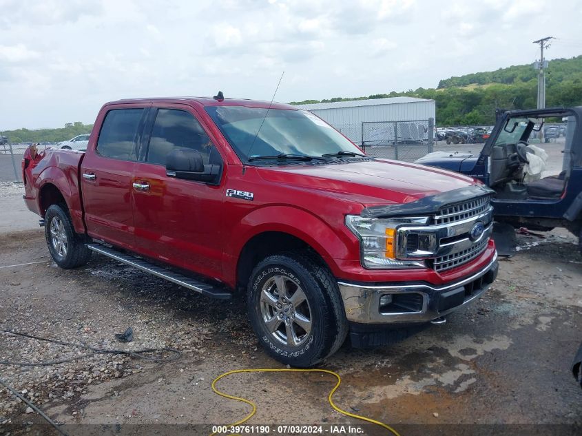 2019 FORD F-150 XLT