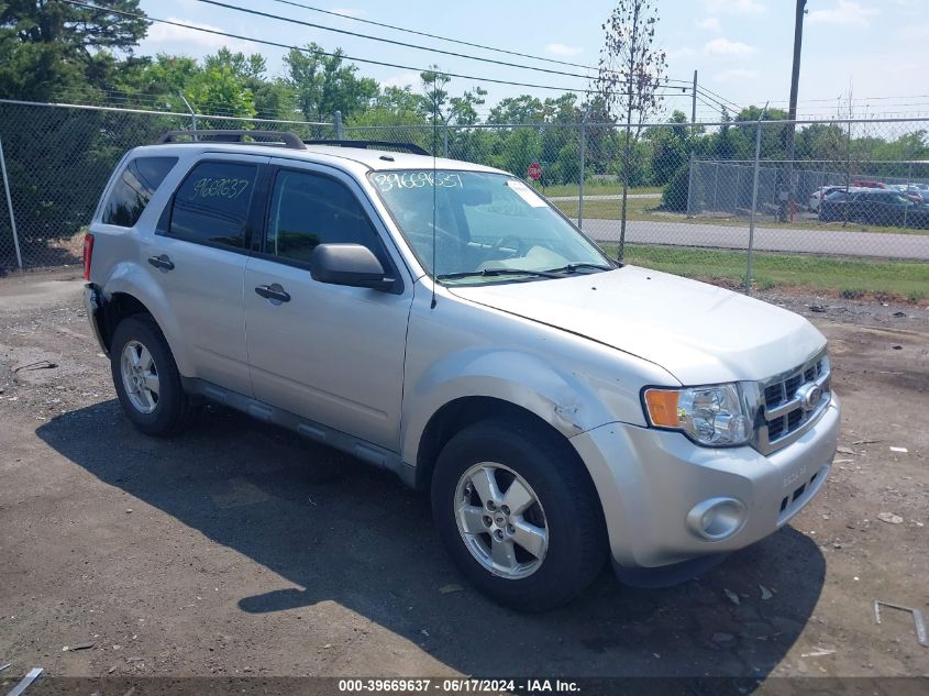 2010 FORD ESCAPE XLT