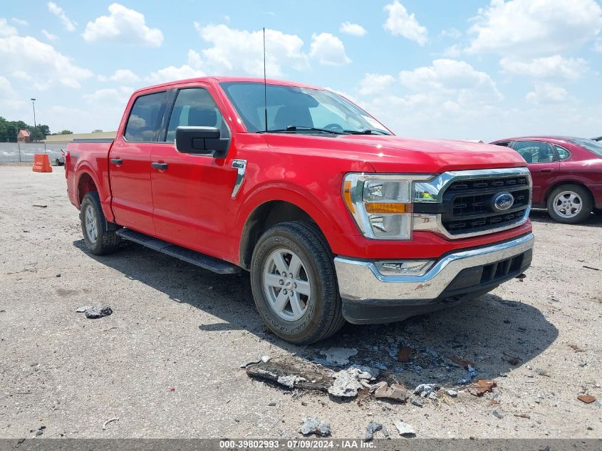 2021 FORD F-150 XLT