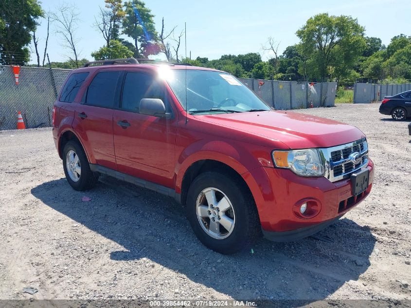 2012 FORD ESCAPE XLT