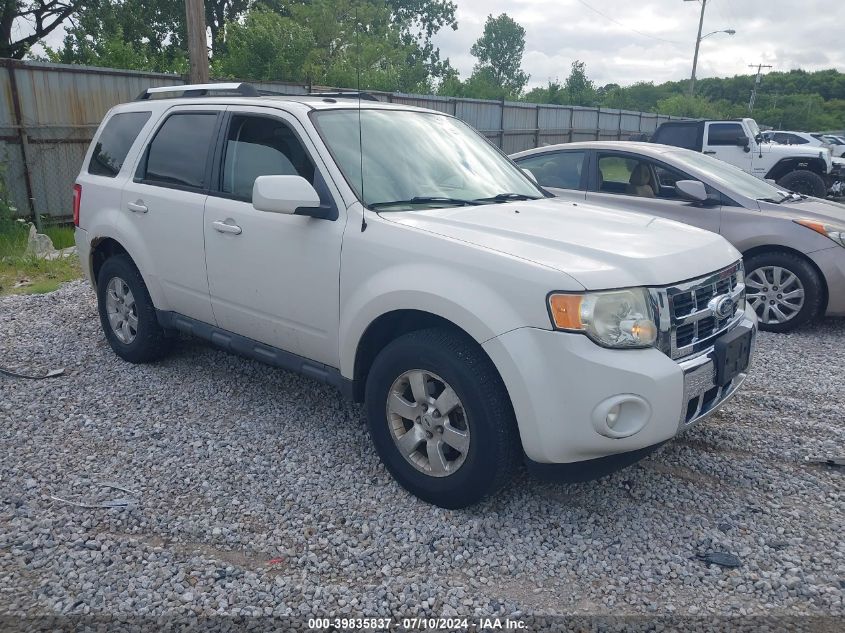 2010 FORD ESCAPE LIMITED