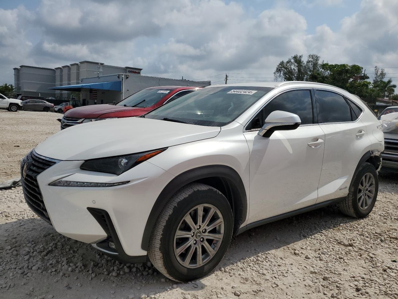 2019 LEXUS NX 300H