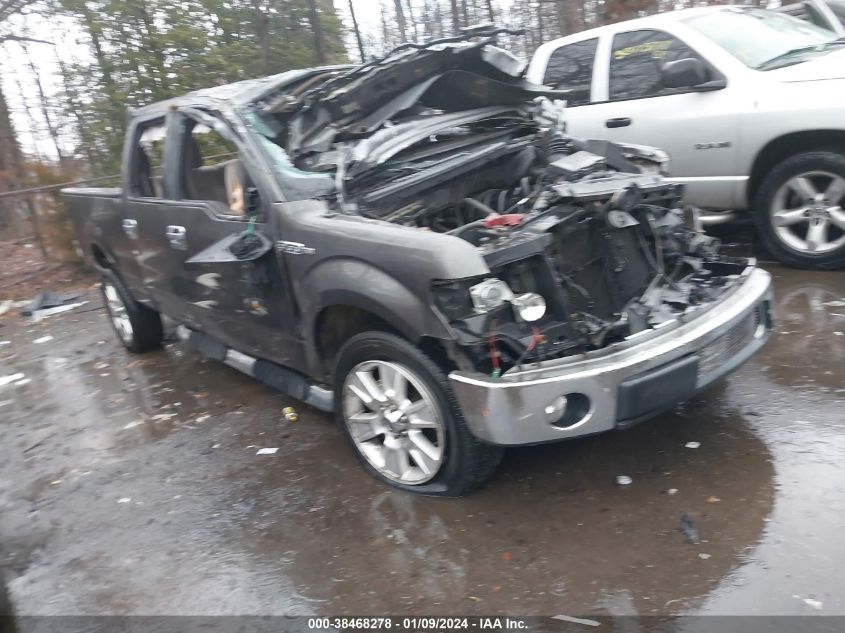 2010 FORD F-150 XL/XLT