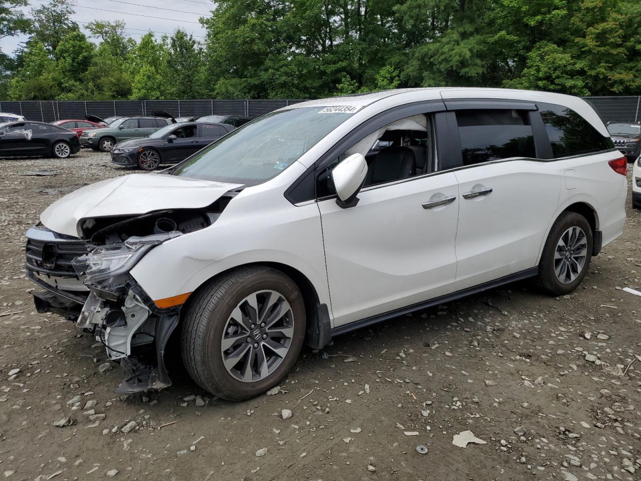 2023 HONDA ODYSSEY EXL