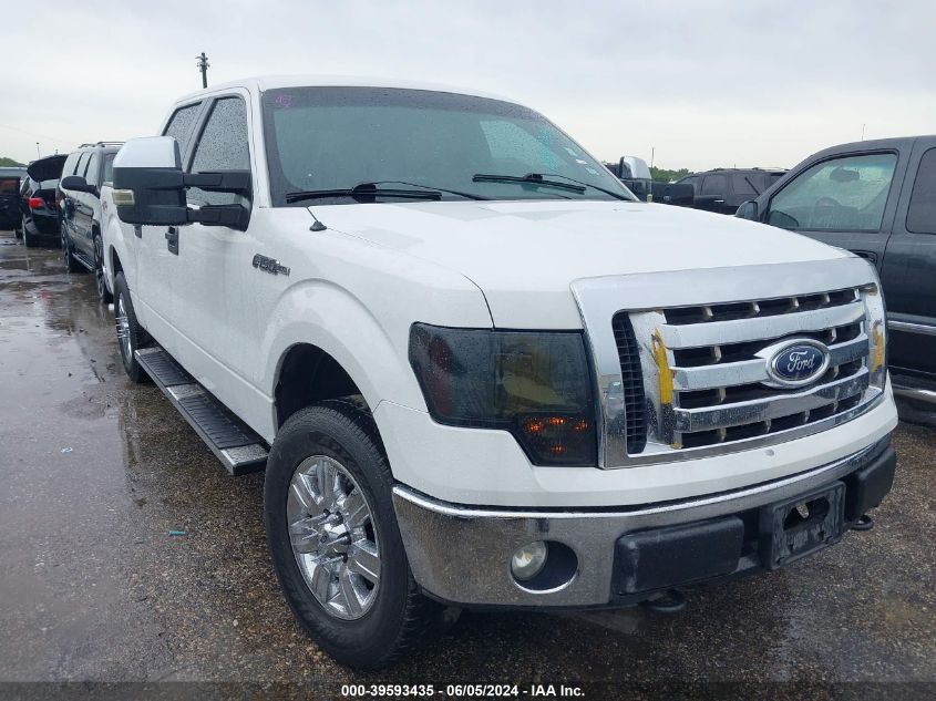 2012 FORD F-150 XLT