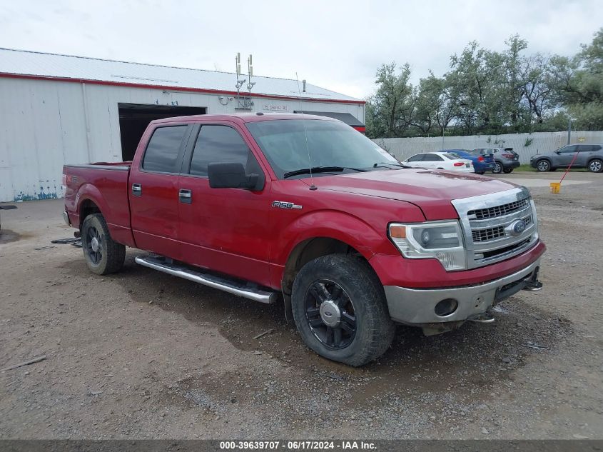 2014 FORD F-150 XLT