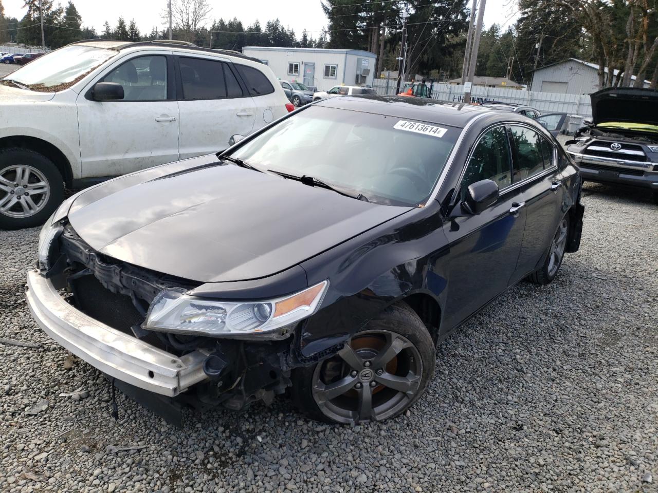 2010 ACURA TL