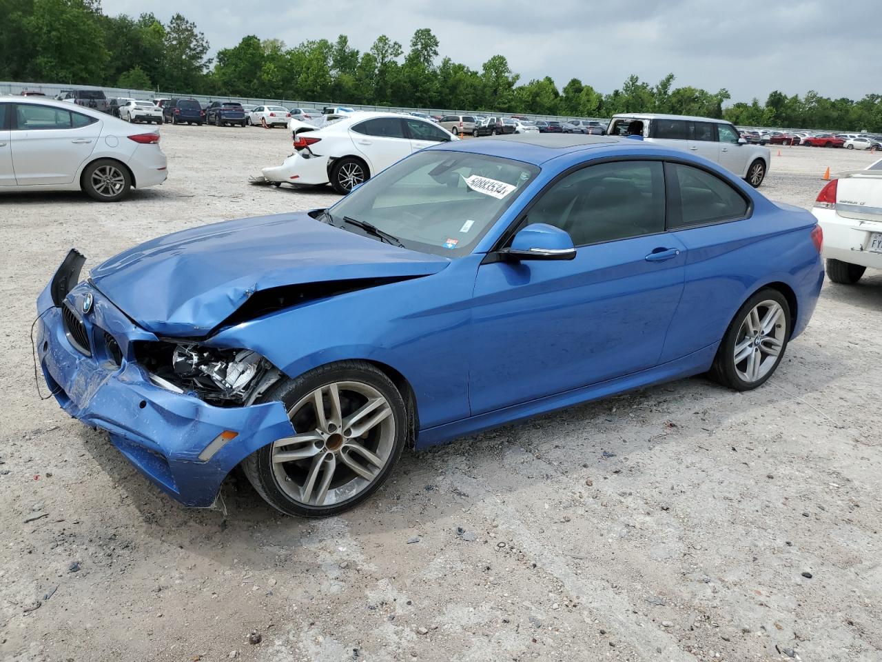 2017 BMW 230I