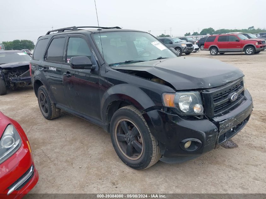 2010 FORD ESCAPE XLT