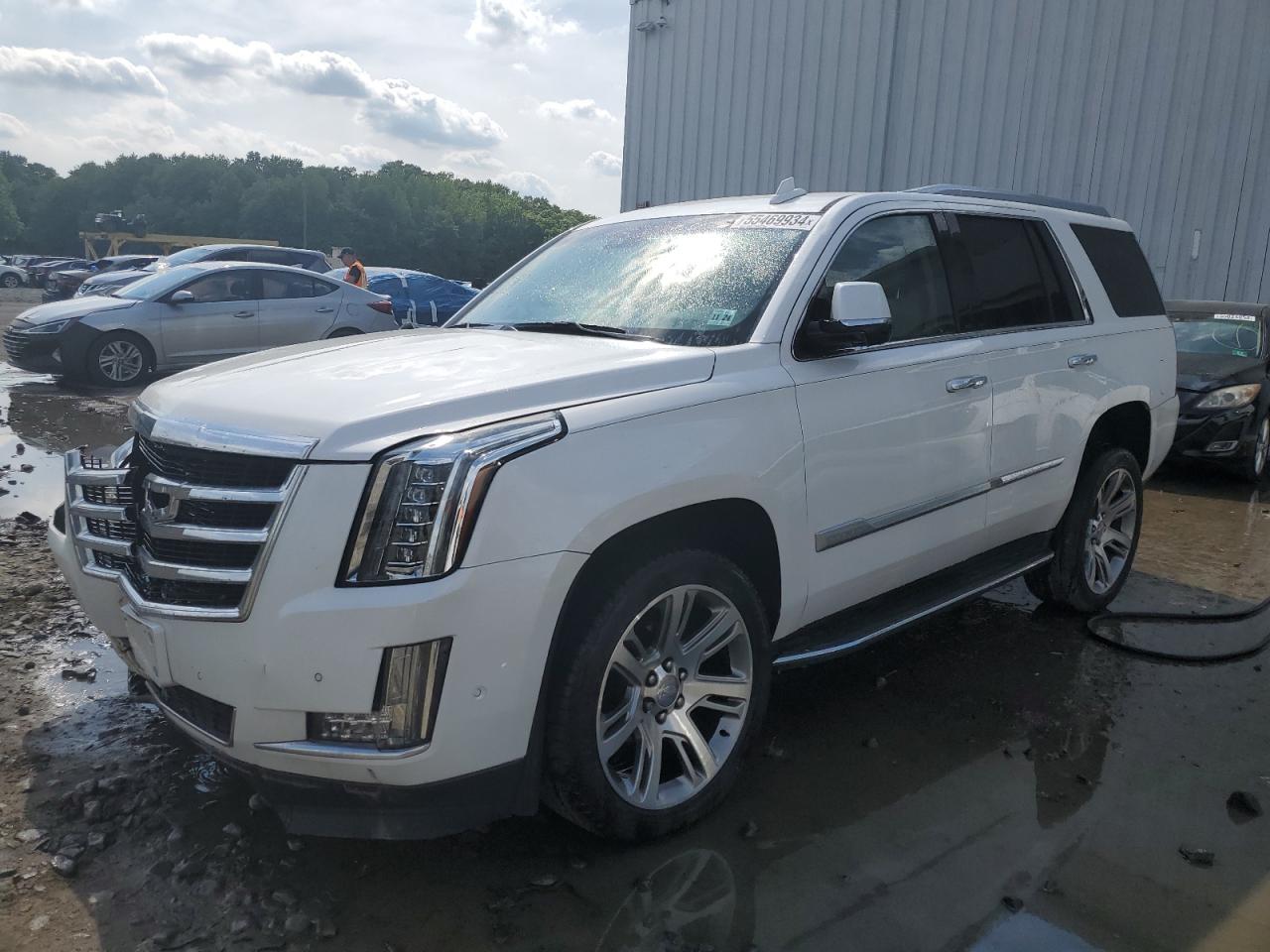 2019 CADILLAC ESCALADE LUXURY