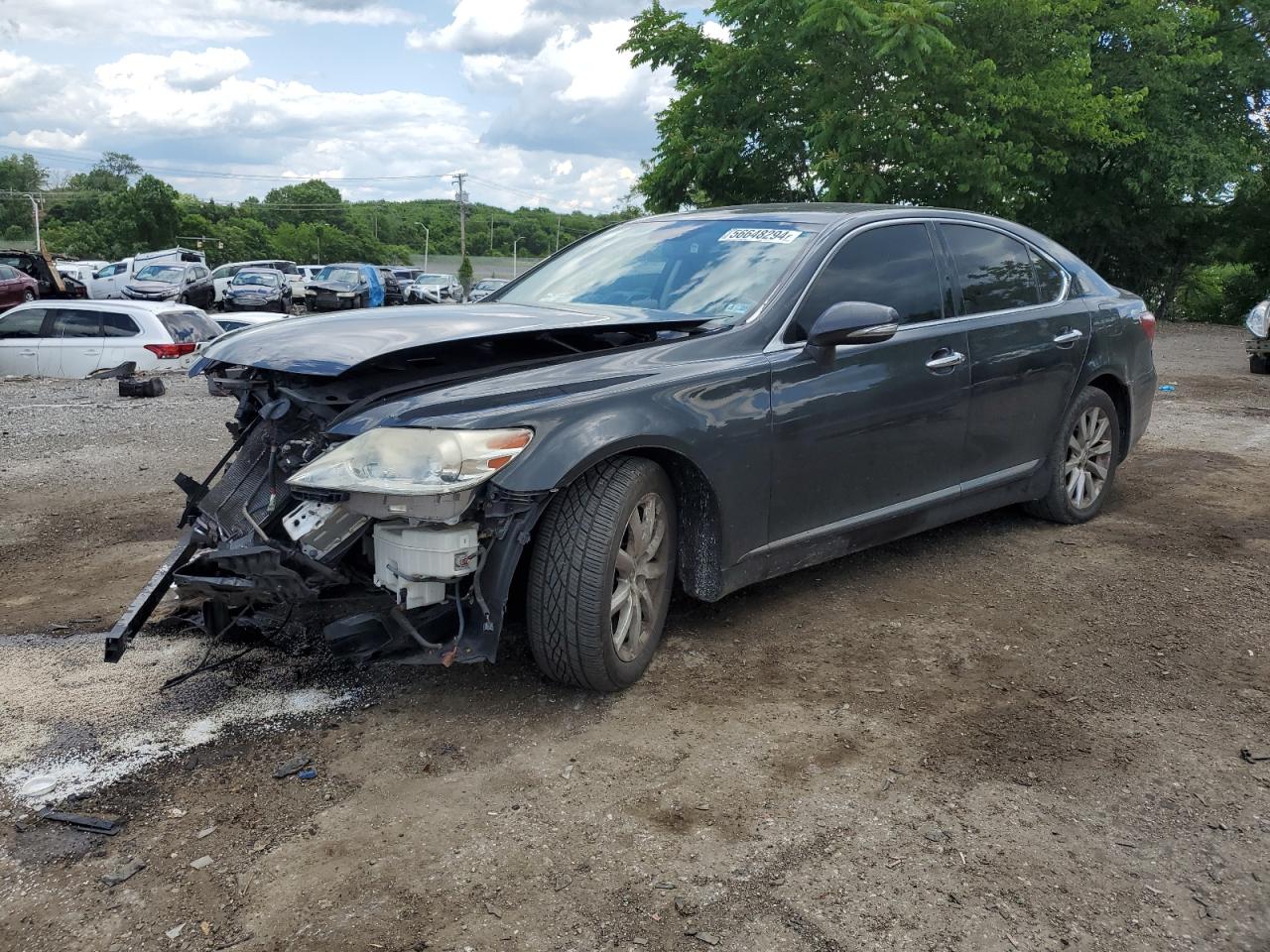 2010 LEXUS LS 460