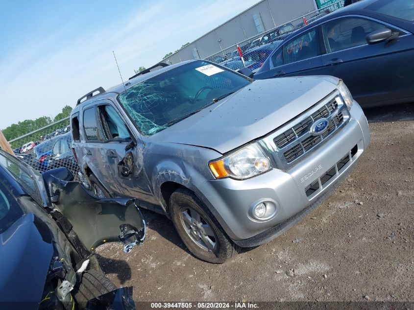 2011 FORD ESCAPE XLT