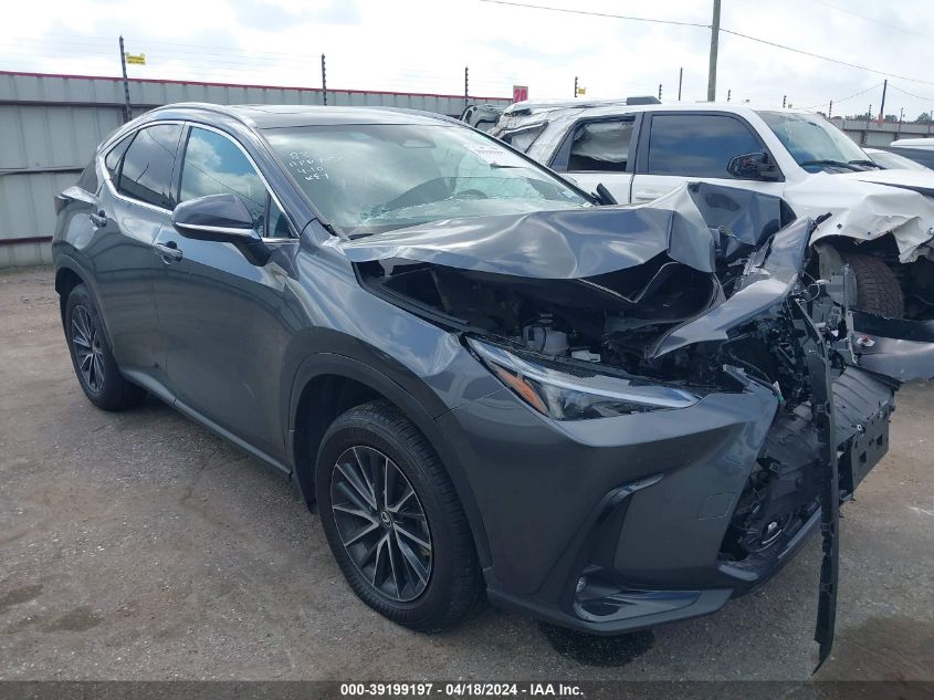 2024 LEXUS NX 350 PREMIUM