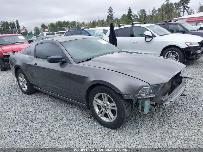 2014 FORD MUSTANG V6