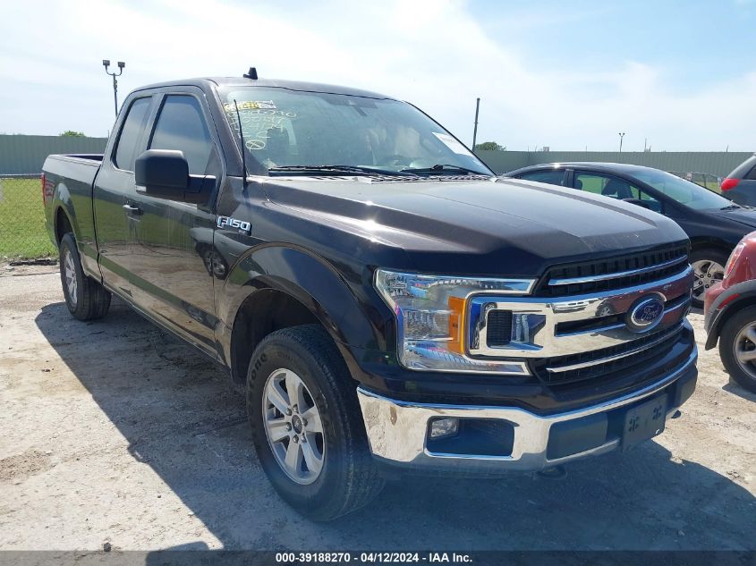 2019 FORD F-150 XLT