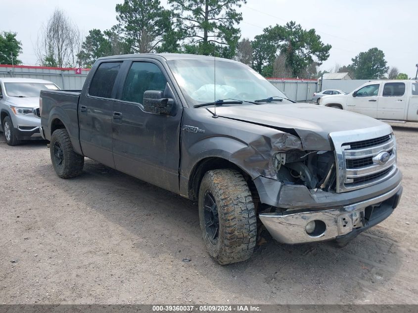 2014 FORD F-150 XLT