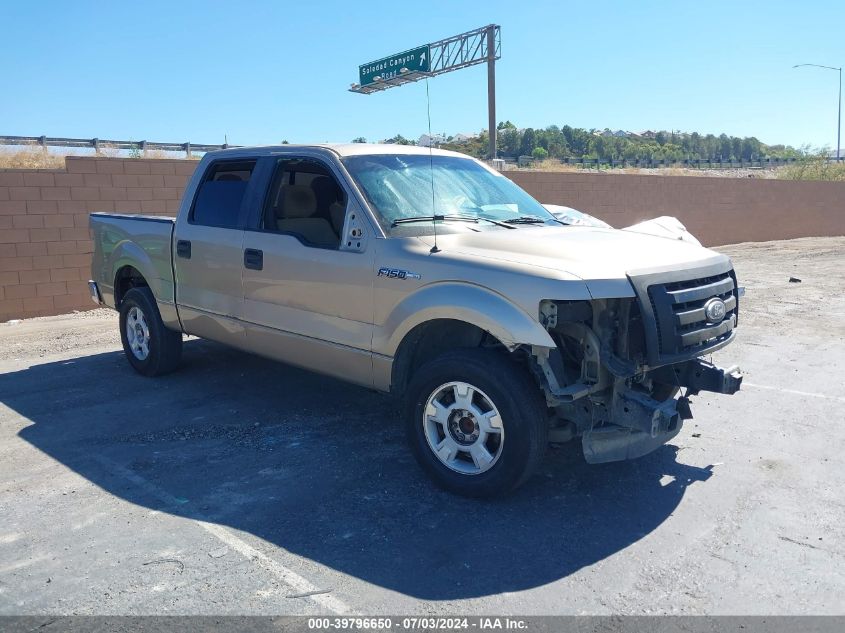 2011 FORD F-150 XL/XLT