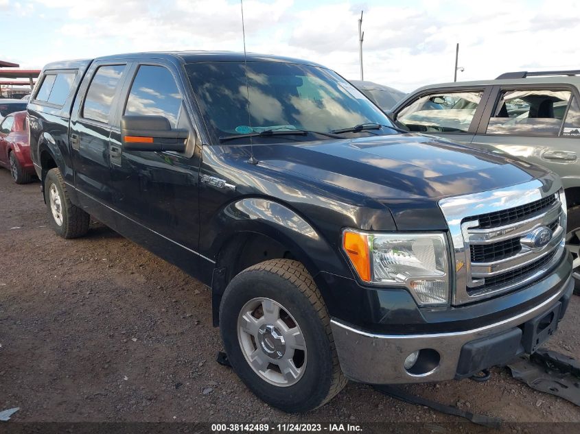 2013 FORD F-150 XLT