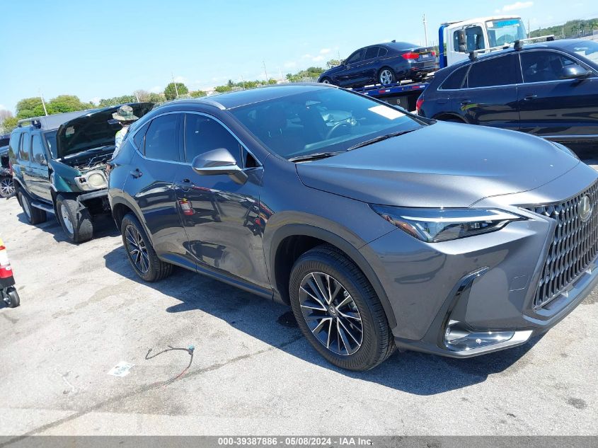 2024 LEXUS NX 250 PREMIUM