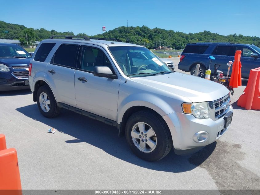 2011 FORD ESCAPE XLT