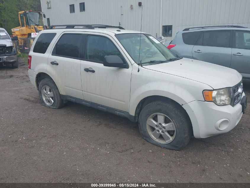 2010 FORD ESCAPE XLT