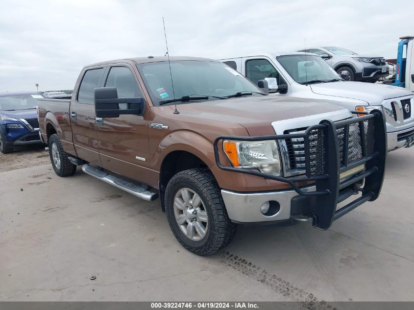 2012 FORD F-150 XLT