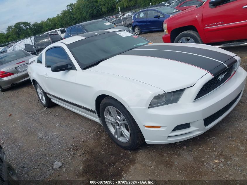 2014 FORD MUSTANG V6