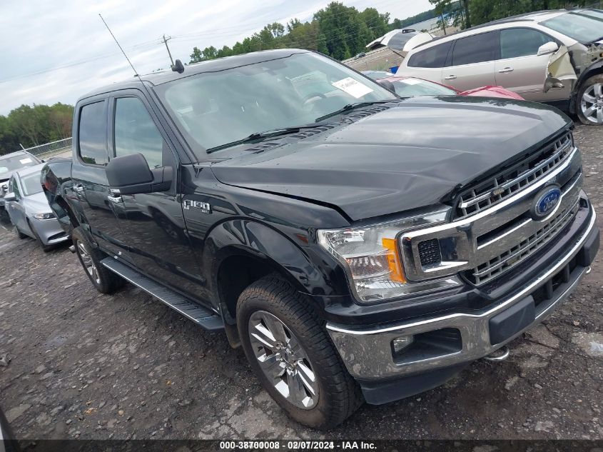 2019 FORD F-150 XLT