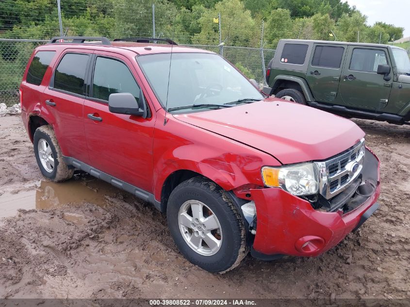 2010 FORD ESCAPE XLT