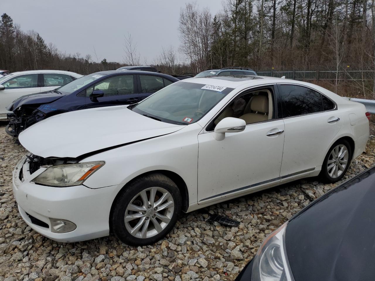 2011 LEXUS ES 350