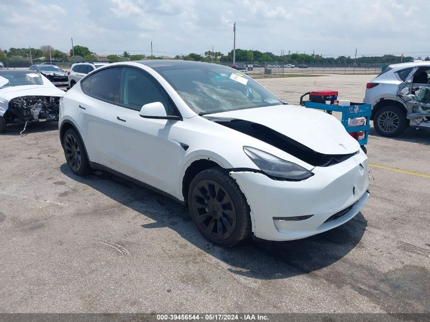 2024 TESLA MODEL Y RWD