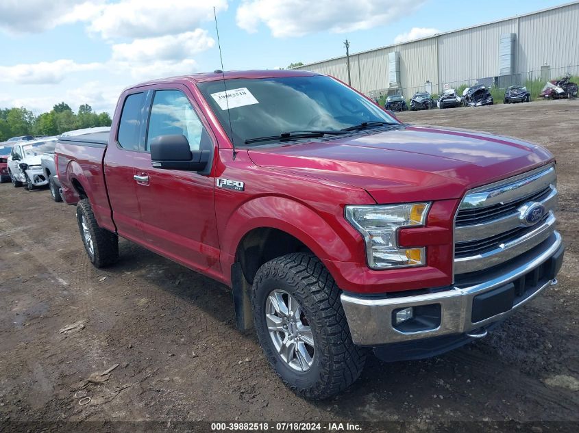 2015 FORD F-150 XLT