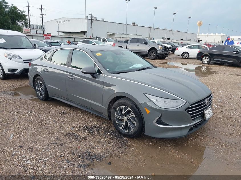 2023 HYUNDAI SONATA HYBRID BLUE