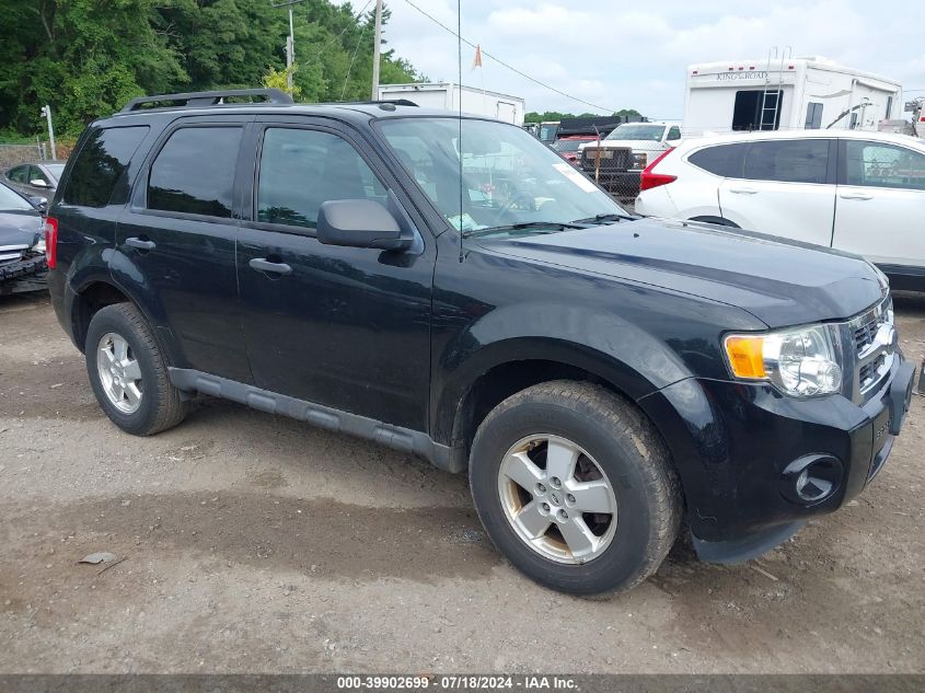 2011 FORD ESCAPE XLT