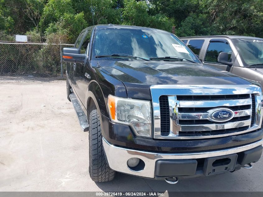 2013 FORD F-150 XLT