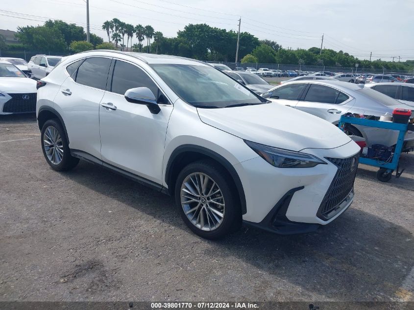 2023 LEXUS NX 350H PREMIUM