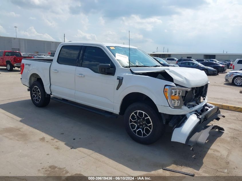 2023 FORD F-150 XLT