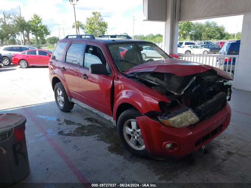 2010 FORD ESCAPE XLT