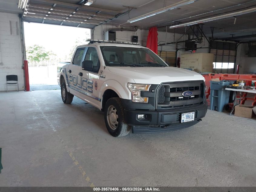 2017 FORD F-150 XL