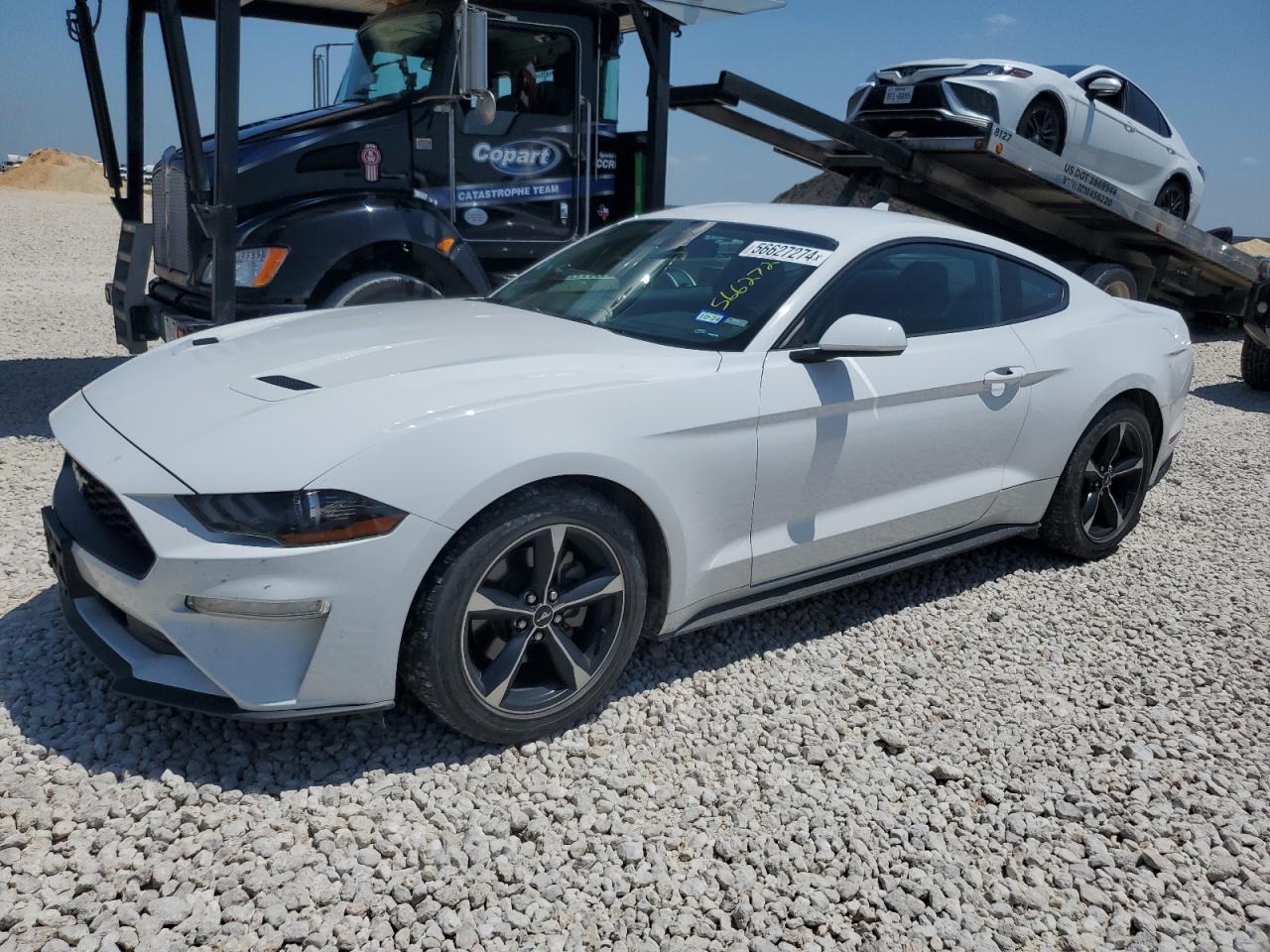 2021 FORD MUSTANG